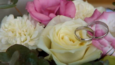 Wedding rings on flowers background Stock Footage 102166365