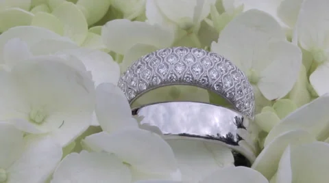 Wedding Rings in Flowers Vidéo 47772581