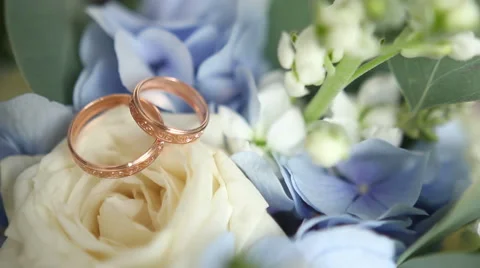 Wedding rings on flowers Stock Footage 61432964