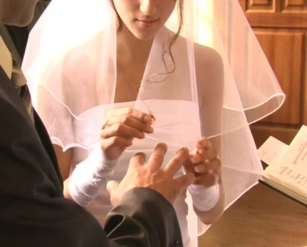 Wedding rings Stock Footage 493455