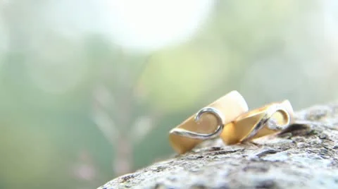 Wedding Rings 库存影片 20592302