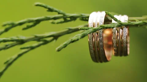 Wedding Rings Stock Footage 24753834