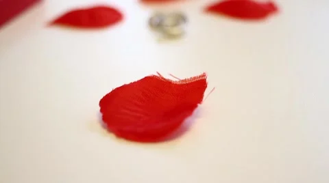 Wedding rings Stock Footage 43190801