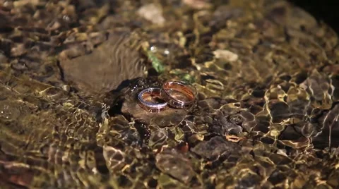 Wedding rings Stock Footage 56819897