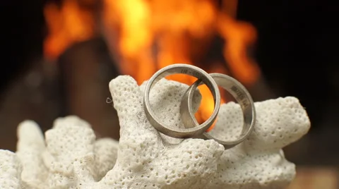 Wedding rings Stock Footage 67659399