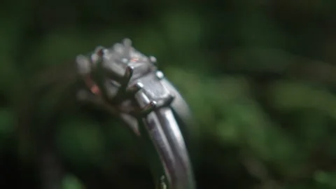 Wedding rings Stock Footage 144190518