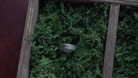 Wedding rings Stock Footage 144190519