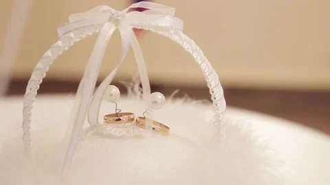 Wedding rings Stock Footage 221500953