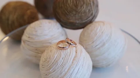 Wedding rings Stock Footage 221698190