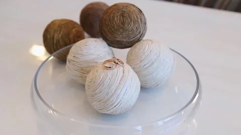 Wedding rings Stock Footage 221698193