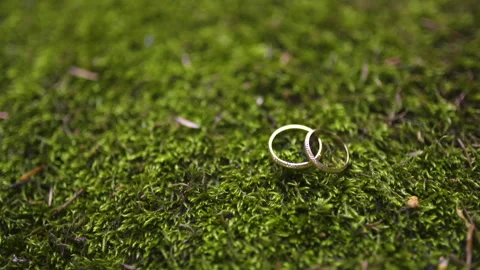 Wedding Rings on Forest Moss Stock Footage 308260408