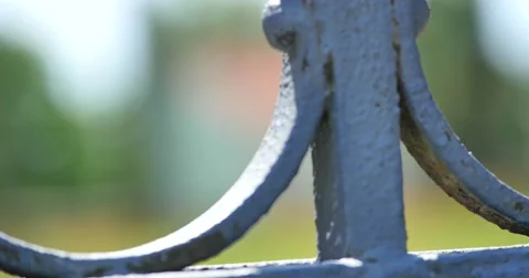 Wedding rings on forged gate Stock Footage 68143102