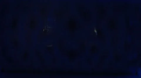 Wedding rings in a gift box Stock-Footage 50011512