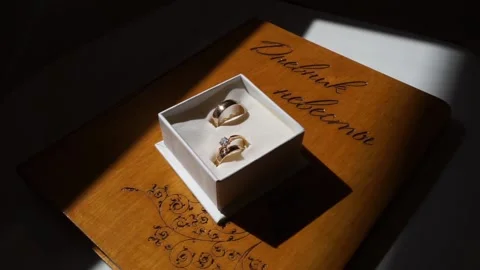 Wedding rings in a gift box Stock Footage 163566714