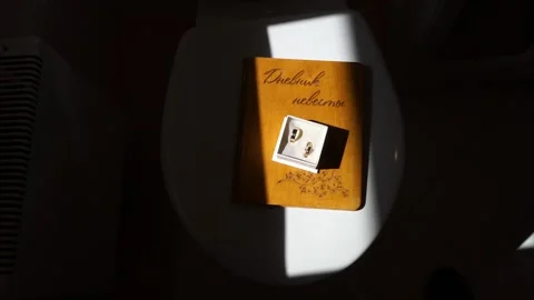 Wedding rings in a gift box Stock Footage 163566716