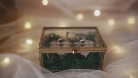 Wedding rings in glass ring box Stock Footage 153493399