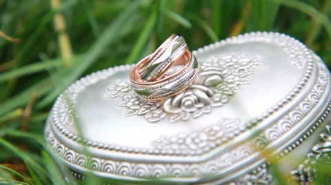 A wedding rings in the grass on casket. Video stock 35848541