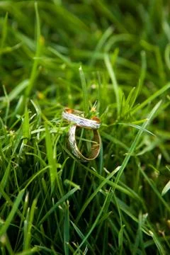 Wedding rings on a grass Stock Photos