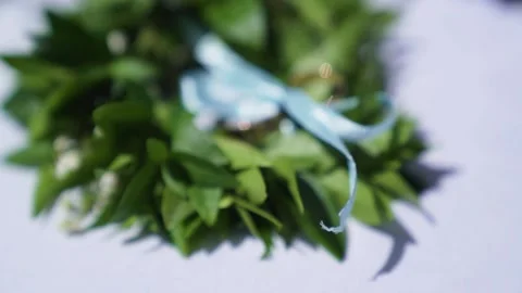 Wedding rings on a green leaf on nature. Wedding summer accessories close-up. Stock Footage 202282019