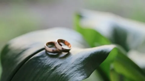 Wedding rings on a green leaf. Wedding summer details and accessories close-up Stock Footage 132697401