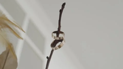 Wedding rings hanging on tree branch, slow motion video Stock Footage 306148180