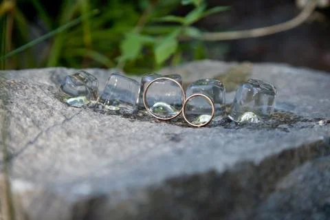 Wedding rings with ice cubes Foto stock