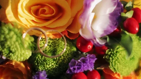 Wedding rings lie on the flowers of different juicy colors. Stock Footage 128758076