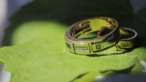 Wedding rings lie on a green leaf sheet, close-up 스톡 동영상 99071258