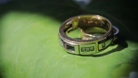 Wedding rings lie on a green leaf sheet, close-up Stock Footage 99167330