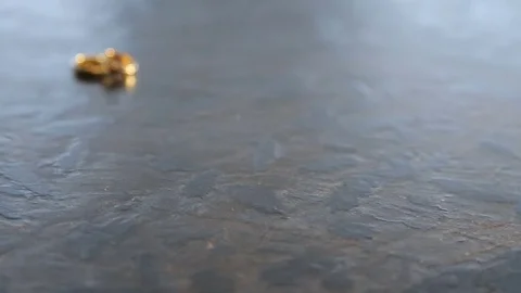 Wedding rings lie on the stone surface Stock Footage 74729314