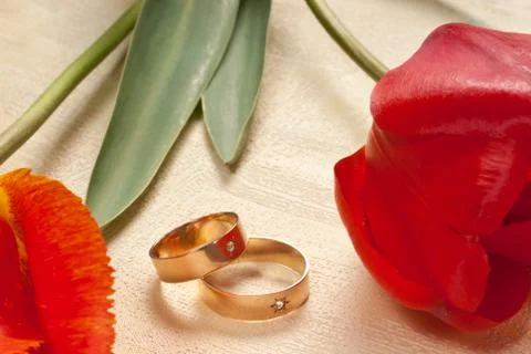 Wedding rings Stock Photos