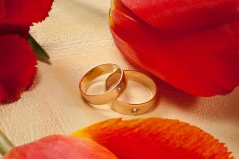 Wedding rings Stock Photos