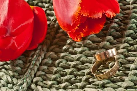 Wedding rings Stock Photos