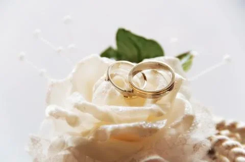 Wedding rings Stock Photos