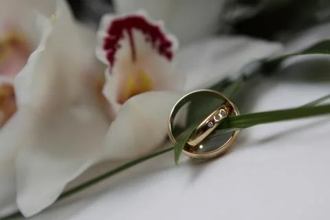 Wedding rings Stock-Fotos