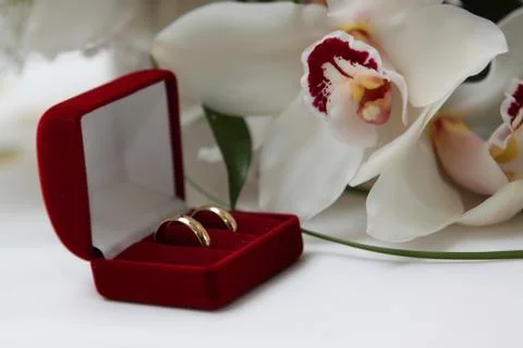 Wedding rings Stock-Fotos