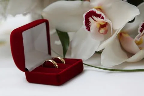Wedding rings Stock-Fotos