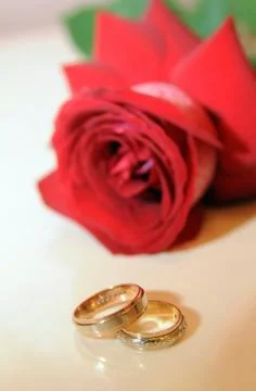 Wedding rings Stock Photos