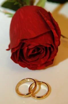 Wedding rings Stock Photos