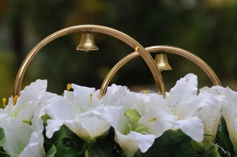 Wedding rings Stock Photos