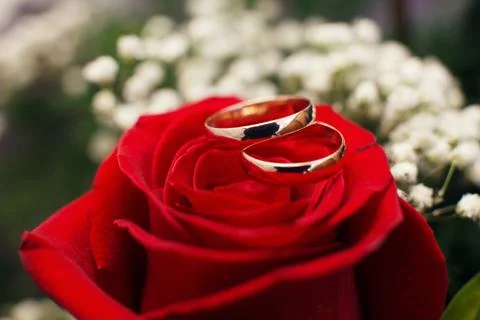 Wedding rings Stock Photos