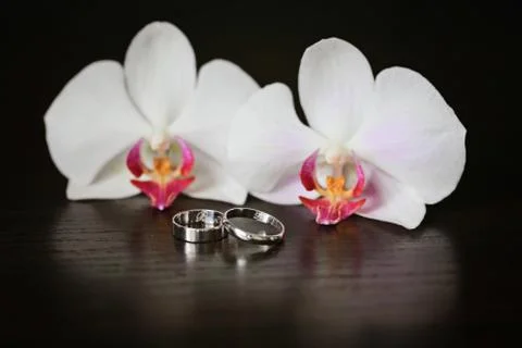 Wedding rings Foto stock