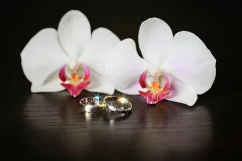 Wedding rings 写真素材