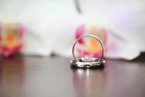 Wedding rings Photos