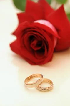 Wedding rings Stock Photos