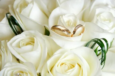 Wedding rings Stock Photos