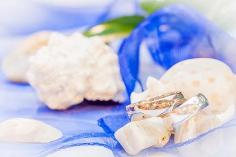 Wedding rings Stock Photos