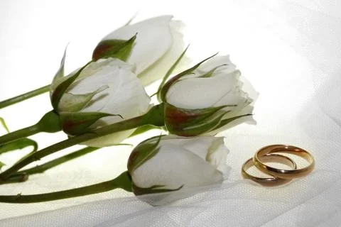 Wedding rings Stock Photos