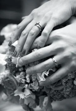 Wedding rings Stock Photos