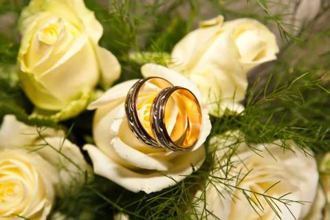 Wedding rings Stock Photos